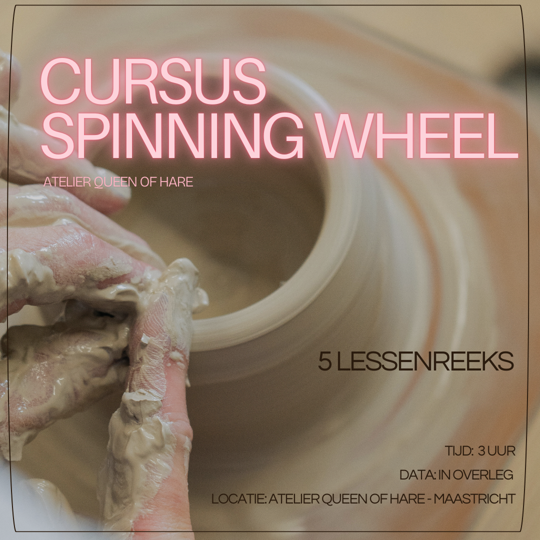 Cursus/lessenreeks ''Spinning Wheel''